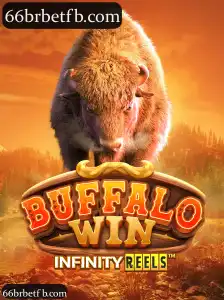 BuffaloWin